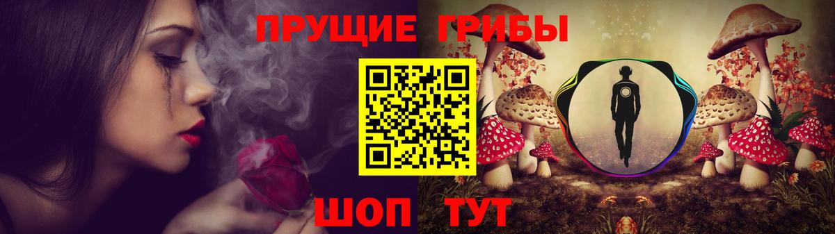 купить  сайты  Псилоцибиновые грибы Psilocybe  Вход с VPN  Галлюциногенные грибы Psilocybine cubensis  Майкоп 
